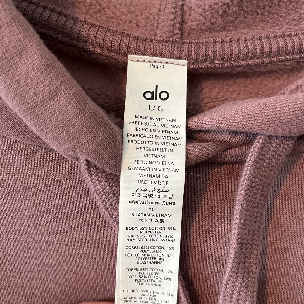 Alo Accolade Hoodie - size L large - Picture 4 of 4